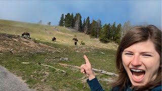 Staying Keto in Yellowstone National Park