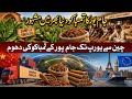 Jampur Tobacco Farming in South Punjab | High Quality Crop from Pakistan’s Bakshan Region