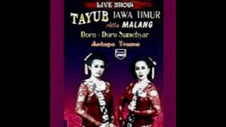 Gebyar tayub jawa timur ala malangan vol.4