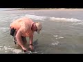 Dolphin rescue