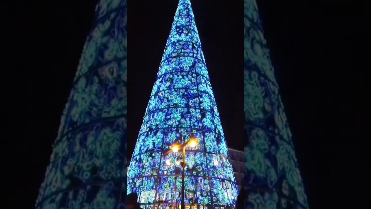 Watch Now Madrid's Giant Christmas Tree 