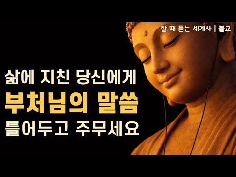 🌙 성우 이지선이 직접 읽어드리는 |부처님의 위로와 명언 · 삶에 지친 밤을 위해| 잘 때 듣는 세계사 [중간광고X]