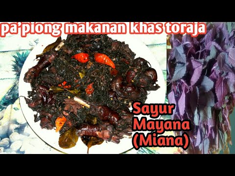 Makanan khas toraja pa'piong ayam || resep masakan tradisonal toraja