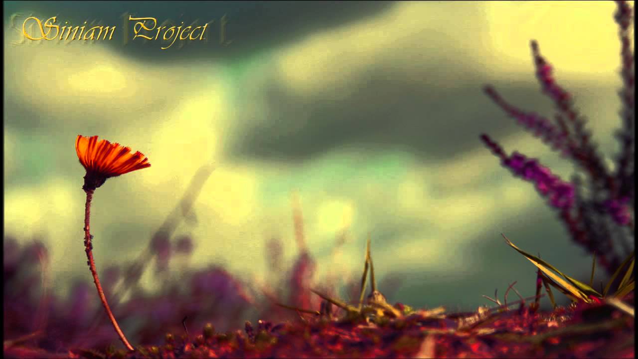 Siniam Project - Two Faced