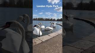 #London #hydepark #uktravel #londonsummer