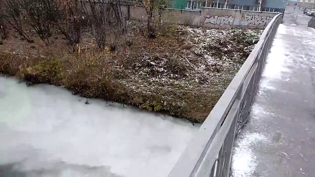 Идущий к реке слив Идущий к реке слив