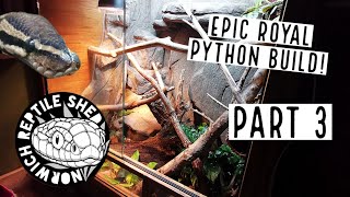 MASSIVE Royal Python Build - Part 3!