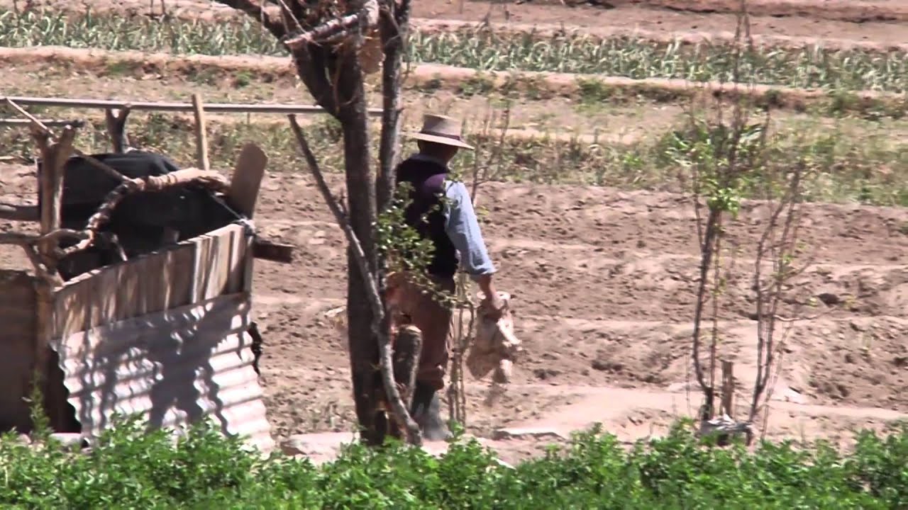 PUEBLO DE CHIAPA MANTIENE TRADICIONES NAVIDEÑAS ÚNICAS EN EL PAÍS