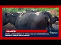 LIVE AMAKURU ARAMBUYE Tariki 5 KAMENA 2026 