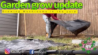 Garden grow | Jedi Mind Fuck mushrooms in the Yard