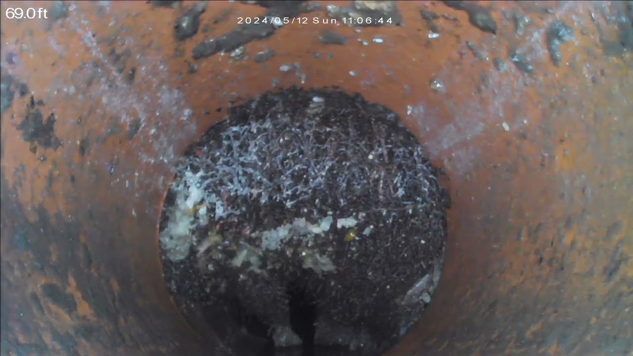 CNHInspections - ROOT INTRUSION at Clay Pipe Joint