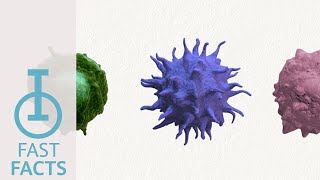 IOU YouTube: What are non-effector cells?