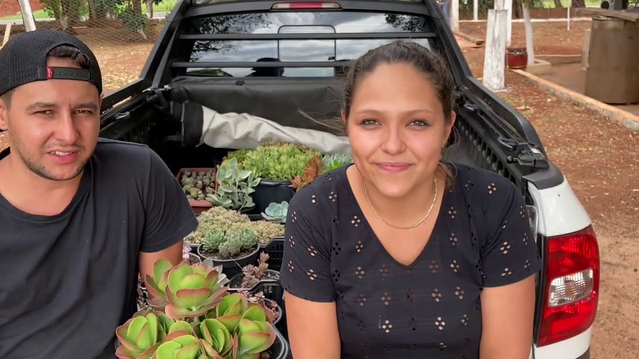PRODUTOR DE SUCULENTAS 🍀 EPISÓDIO 1