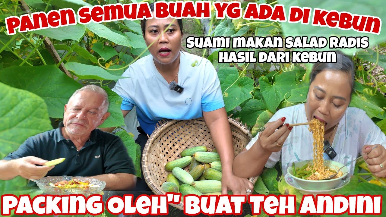 PANEN SEMUA BUAH YG ADA DI KEBUN SEBELUM IKUT SUAMI KERJA‼️PANEN MARKISA BUAT TEH @AndiniOverfield 