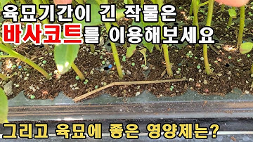 육묘기간이 긴 작물은 바사코트를 이용해보세요. 육묘에 최적화된 영양제는?