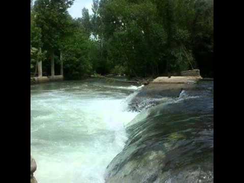 الشاعر بشار الشربجي الهامة