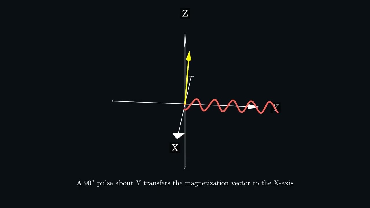 Saturation Transfer Difference in Nuclear Magnetic Resonance spectroscopy.