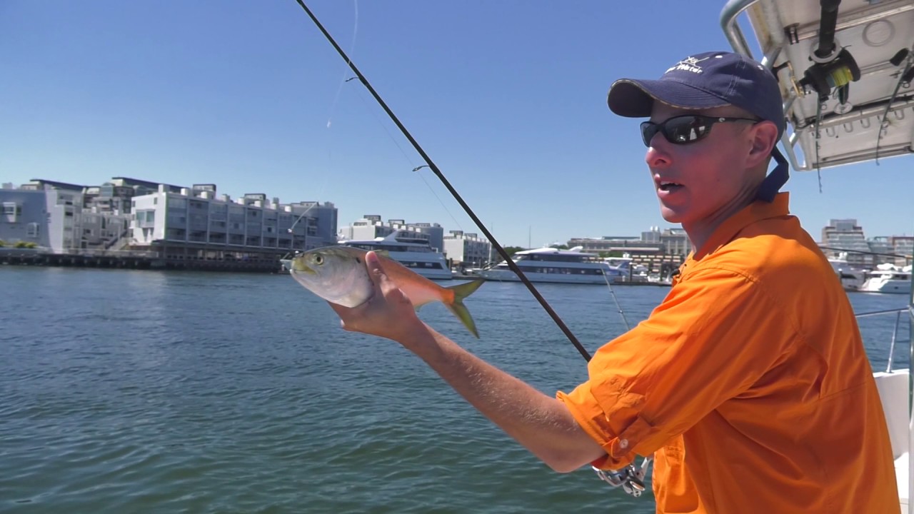 How to Snag Pogies YouTube