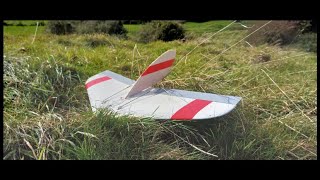 Ncfm Wabbit Enjoying A Good Blow At Maes Knoll