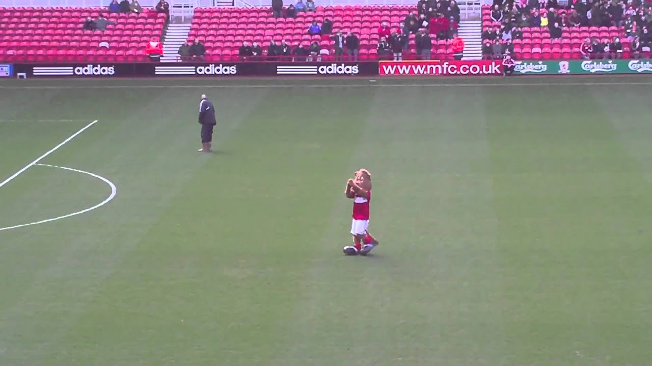 Middlesbrough Football Club - Roary the lion