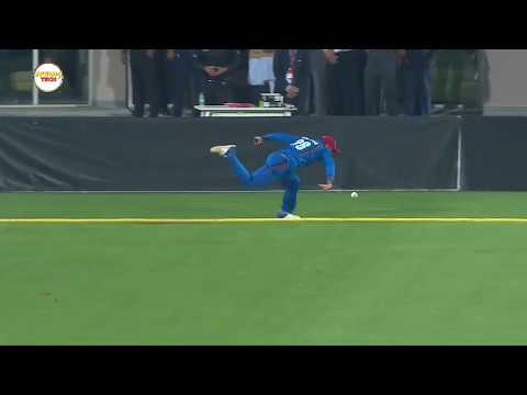Top 10 Best Fielding in Cricket History - Top Cricket Fieldings - Wk Cricket