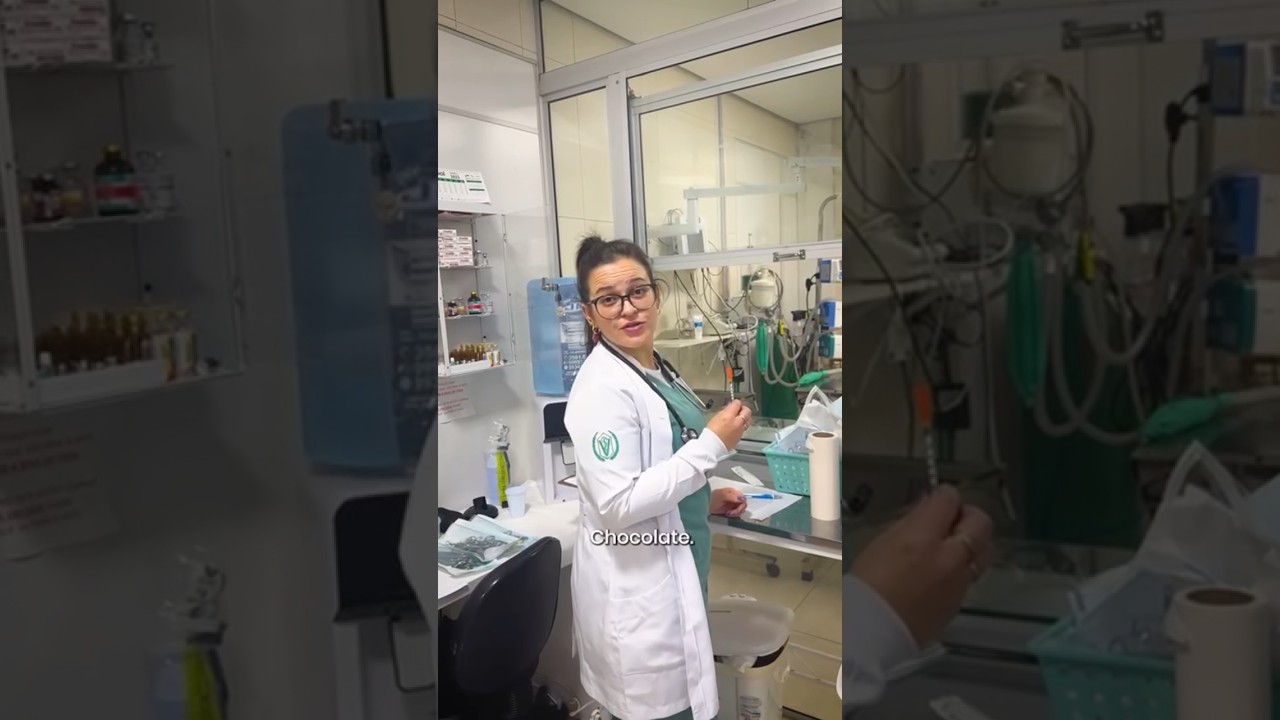 12 de setembro de 2023