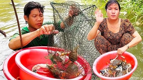 Đổ lú dưới sông và trong vuông dính nhiều cua cá tôm thấy ham quá cuộc sống mưu sinh “Hoàng Lê Vlog 