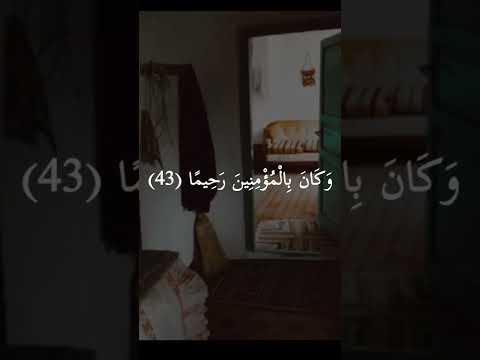 وكان بالمؤمنين رحيما