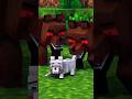 Baby wolf is in danger - Minecraft Animation #shorts