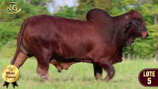 LOTE 5  - 12° GRAN REMATE VIRTUAL RANCHO GUADALUPE (AUDIO)