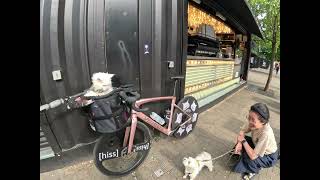 A little coffee stop in Wembley! 🐱