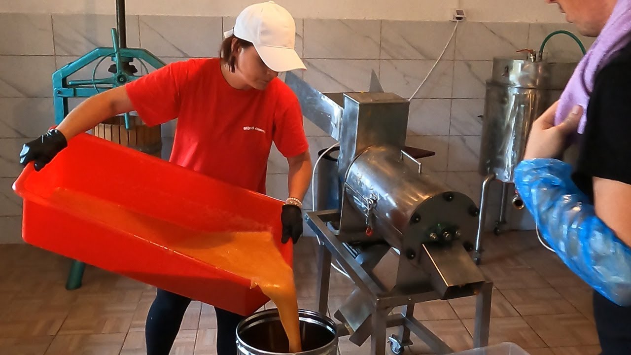 Mladi poduzetnici domaće voće pretvaraju u sokove i džemove