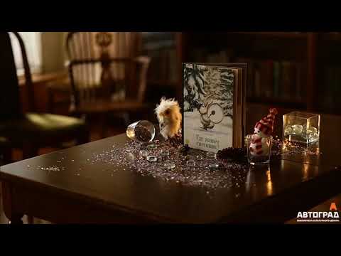 Книжные истории. Где живет снеговик?
