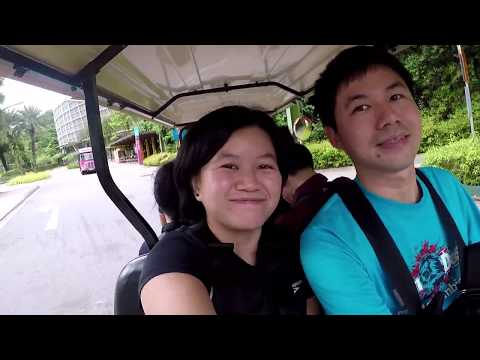 jungle buggy ride