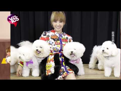 【5年前】蔡依林實境節目最終回 竟認不出愛犬「屋虎」?