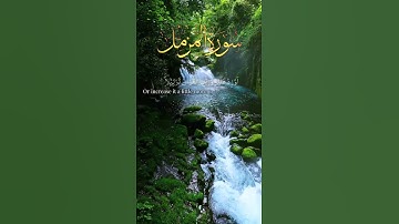 سورة المزمل بصوت جميل ومنظر طبيعي #اكسبلور