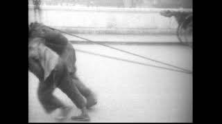 Skinner Collection: Street Life and Travels in China, 1920s