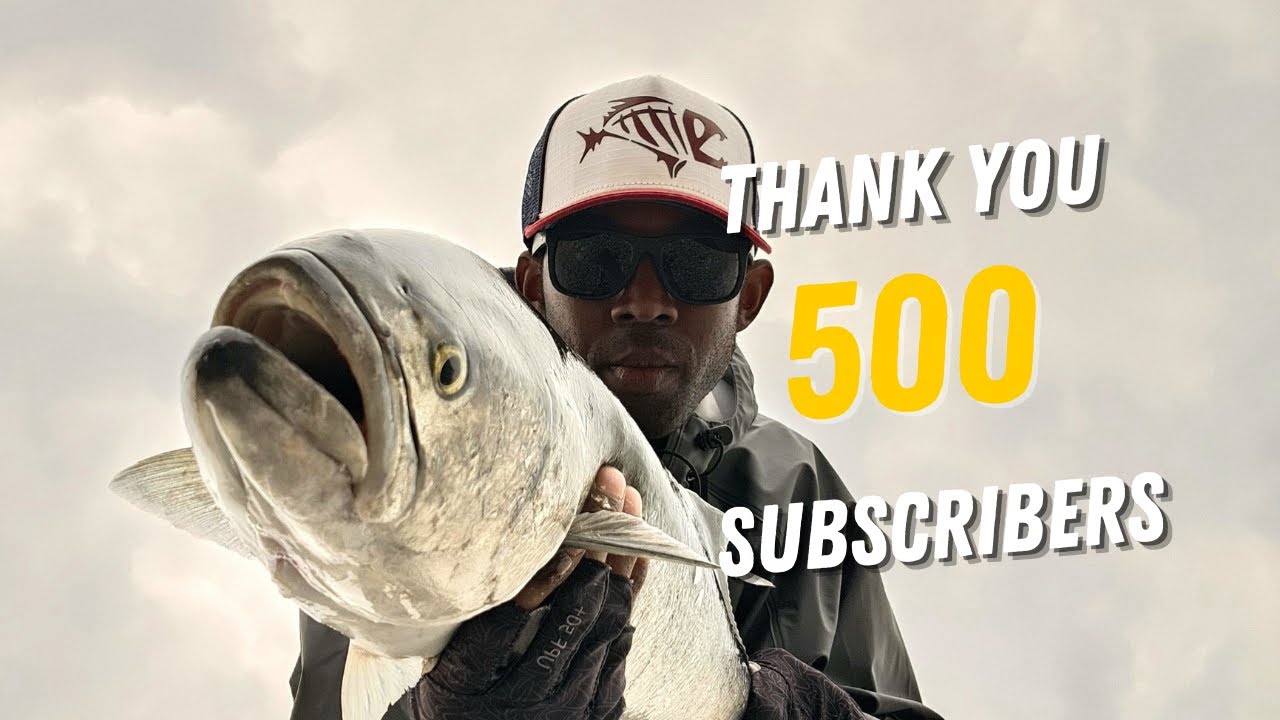 Catching Bluefish Using Bait and Poppers On Long Island North Shore | Private Property Fishing