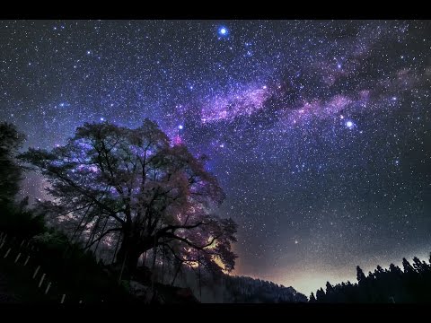 星空のある風景 タイムラプス#45 ～越代の桜と星空/ふくしま