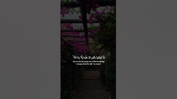 إيه الكرسي تلاوه خاشعه