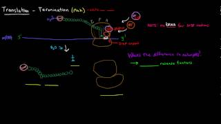 Translation (Part 7 of 8) - Termination