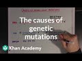 Genetic Mutations: Point and Frameshift Insights