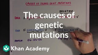 The causes of genetic mutations | Biomolecules | MCAT | Khan Academy