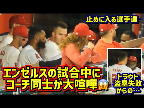 大事件‼ダグアウトで大喧嘩😱トラウトの走塁巡りコーチ同士の大バトル勃発！【現地映像】4/26エンゼルスvsツインズ