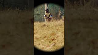 Scope cam with HK416 GBBR  #airsoft #milsim #gbbr #hk416 #shorts