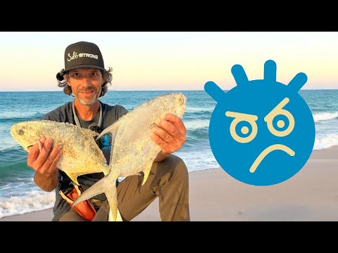 Tough Bite! Panhandle Salt Surf Rig. When the Bite Gets Tough, Use This Rig.