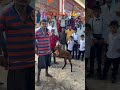 Dasara Celebrations #vijayadashami #dasara #villagevlog #villagelife #minivlog #telangana