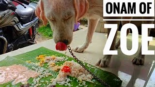 First Onam Of Zoe... Crazy Vlogz