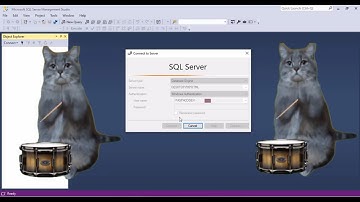 Correccion de errores al iniciar la conexion de Sql Server | Paspa Programmer