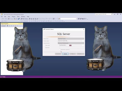 Correccion de errores al iniciar la conexion de Sql Server | Paspa Programmer